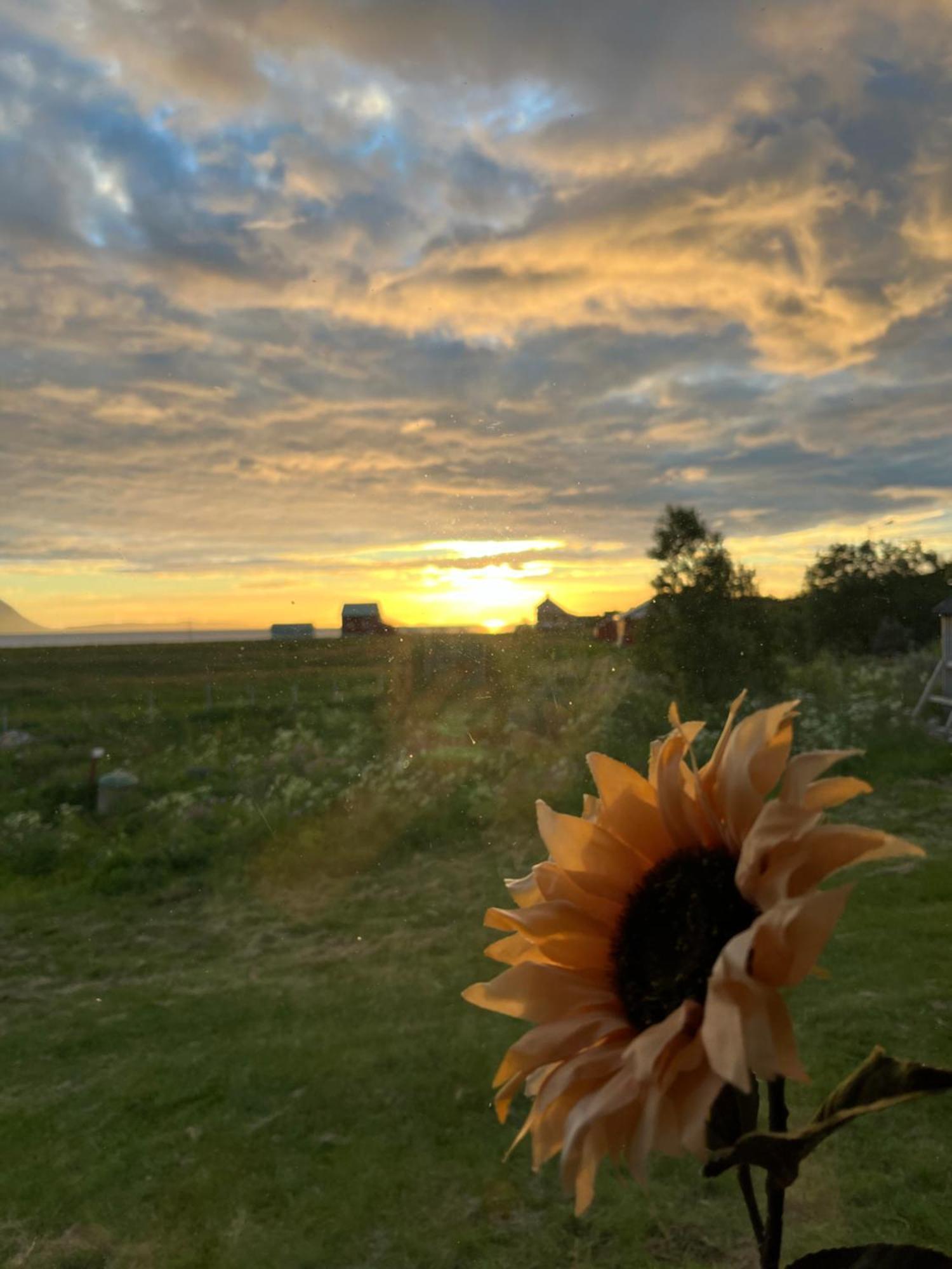 Hos Laura & Valdemar Villa Nord-Lenangen Dış mekan fotoğraf